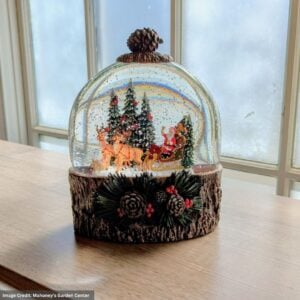 Santa Sleigh with Trees Waterglobe - 7"