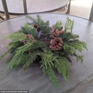 Cones & Greens Candle Holder - 22"