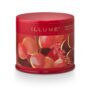 Cranberry Currant Vanity Tin Candle - Illume - 11.8 oz