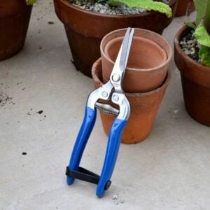 Fruit & Flower Snips – Burgon & Ball – British Meadow