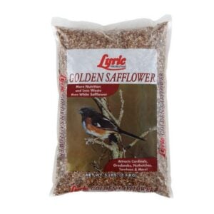 Safflower Seed – Lyric – 5 LB