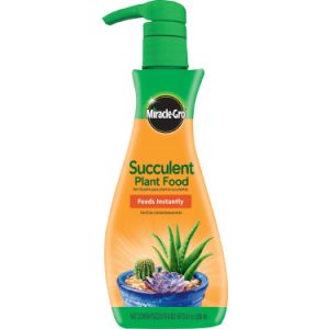 Succulent Plant Food Foam – Miracle-Gro – 8 oz