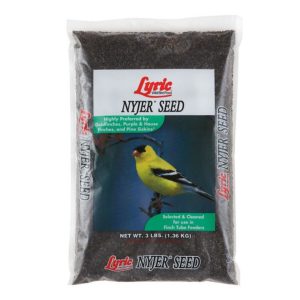 Nyjer Seed – Lyric – 3 LB
