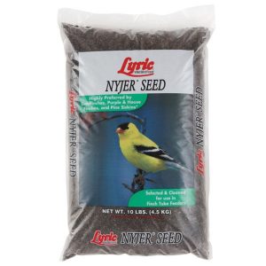 Nyjer Seed – Lyric – 10 LB