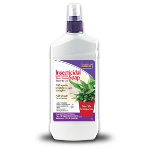 Insecticidal Soap Houseplant Spray – Bonide – 12 oz