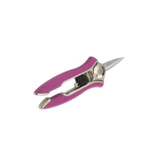 Compact Shear – Dramm – Berry