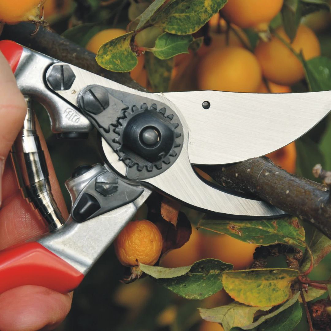 Felco 5 Pruner - Thumbnail 3