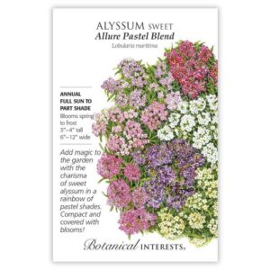 Alyssum Sweet – Allure Pastel Blend Seeds