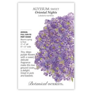 Alyssum Sweet – Oriental Nights Seeds