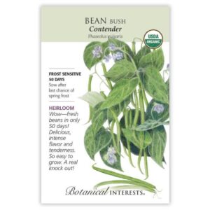 Botanical Interests - Bean Bush - Contender Seeds - Organic