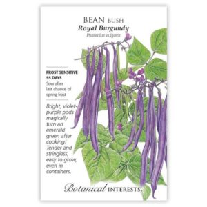 Botanical Interests - Bean Bush - Royal Burgundy Seeds