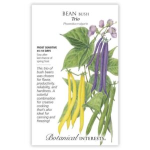 Botanical Interests - Bean Bush - Trio Seeds