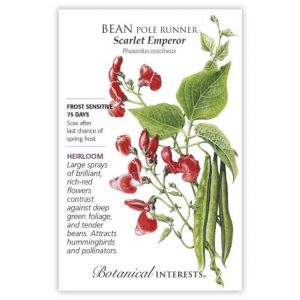 Botanical Interests - Bean Pole Runner - Scarlet Emperor Seeds