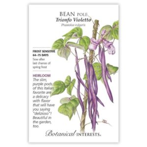 Botanical Interests - Bean Pole - Trionfo Violetto Seeds