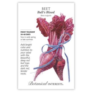 Botanical Interests - Beet - Bull's Blood Seeds