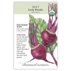 Botanical Interests - Beet - Early Wonder Seeds - Organic