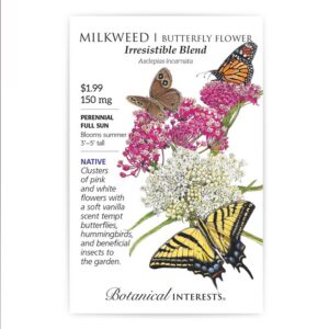 Milkweed/Butterfly Flower – Irresistible Blend Seeds