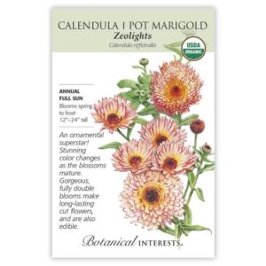 Calendula/Pot Marigold – Zeolights Seeds – Organic