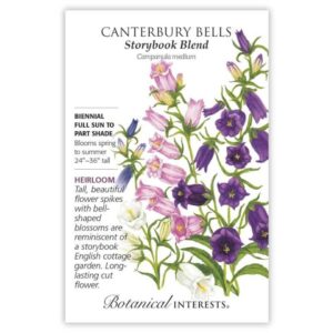 Canterbury Bells – Storybook Blend Seeds