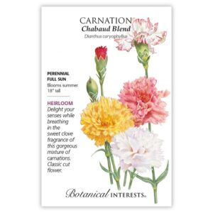 Carnation – Chabaud Blend Seeds