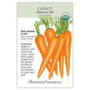 Carrot – Danvers 126 Seeds – Organic