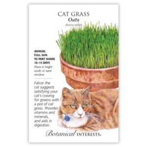 Cat Grass – Oats Seeds – Large