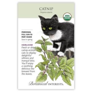 Catnip Seeds – Organic