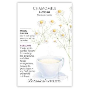 Chamomile – German Seeds