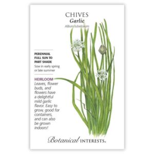 Chives – Garlic Seeds