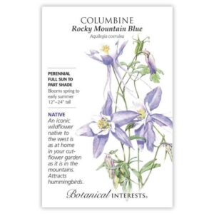 Columbine – Rocky Mountain Blue Seeds