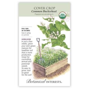 Cover Crop – Common Buckwheat Seeds – Organic