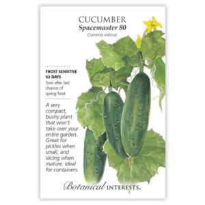 Cucumber – Spacemaster 80 Seeds