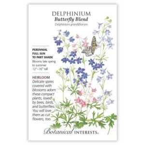 Delphinium – Butterfly Blend Seeds