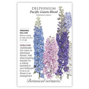 Delphinium – Pacific Giants Blend Seeds