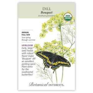 Dill – Bouquet Seeds – Organic