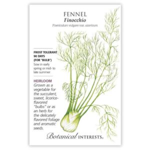 Fennel – Finocchio Seeds