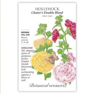 Hollyhock – Chater’s Double Blend Seeds