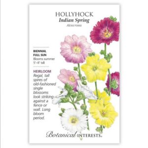 Hollyhock – Indian Spring Seeds