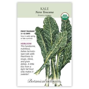 Kale – Nero Toscana Heirloom Seeds