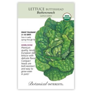 Lettuce Butterhead – Buttercrunch Seeds – Organic