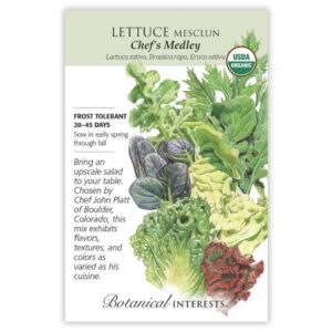 Lettuce Mesclun – Chef’s Medley Seeds – Organic