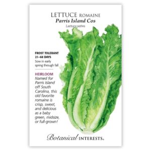 Lettuce Romaine – Parris Island Cos Seeds