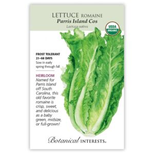 Lettuce Romaine – Parris Island Cos Seeds – Organic