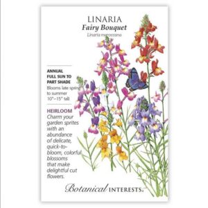 Linaria – Fairy Bouquet Seeds