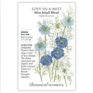 Love-in-a-mist – Miss Jekyll Blend Seeds