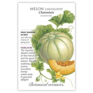 Melon Cantaloupe – Charentais Seeds