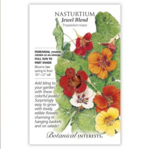 Nasturtium – Jewel Blend Seeds