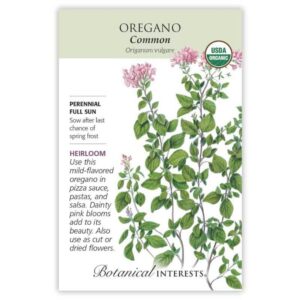 Oregano – Common Seeds – Organic