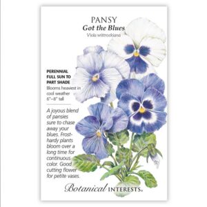 Pansy – Got The Blues Seeds