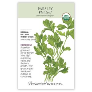 Parsley – Flat Leaf Seeds – Organic